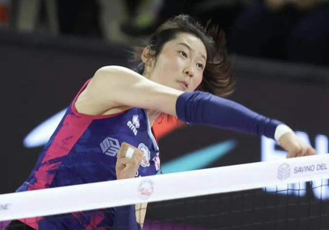 美女视频大全网站免费