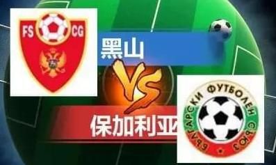 麻豆传媒网站在线观看