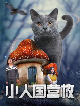 国产成人a视频在线观看