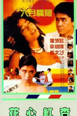 欧美一区二区不卡视频