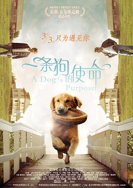 久久久青青草