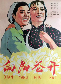 91久久视频
