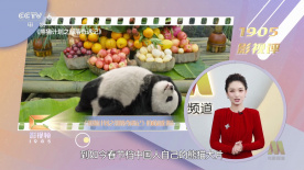 诚实的好daughter妇